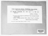 Image Associated With the Occurence